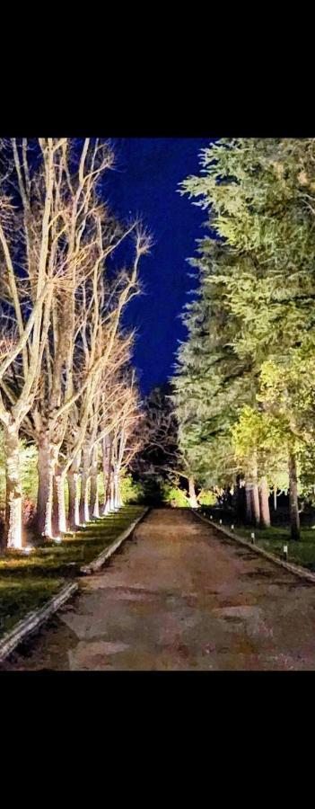 La Casa Nel Parco Luxury B&B San Lazzaro di Savena Zewnętrze zdjęcie